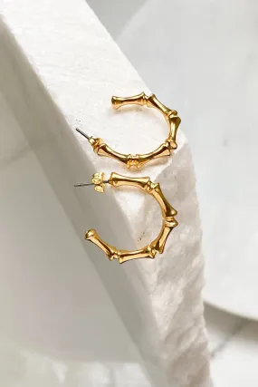 Gold hoop earrings