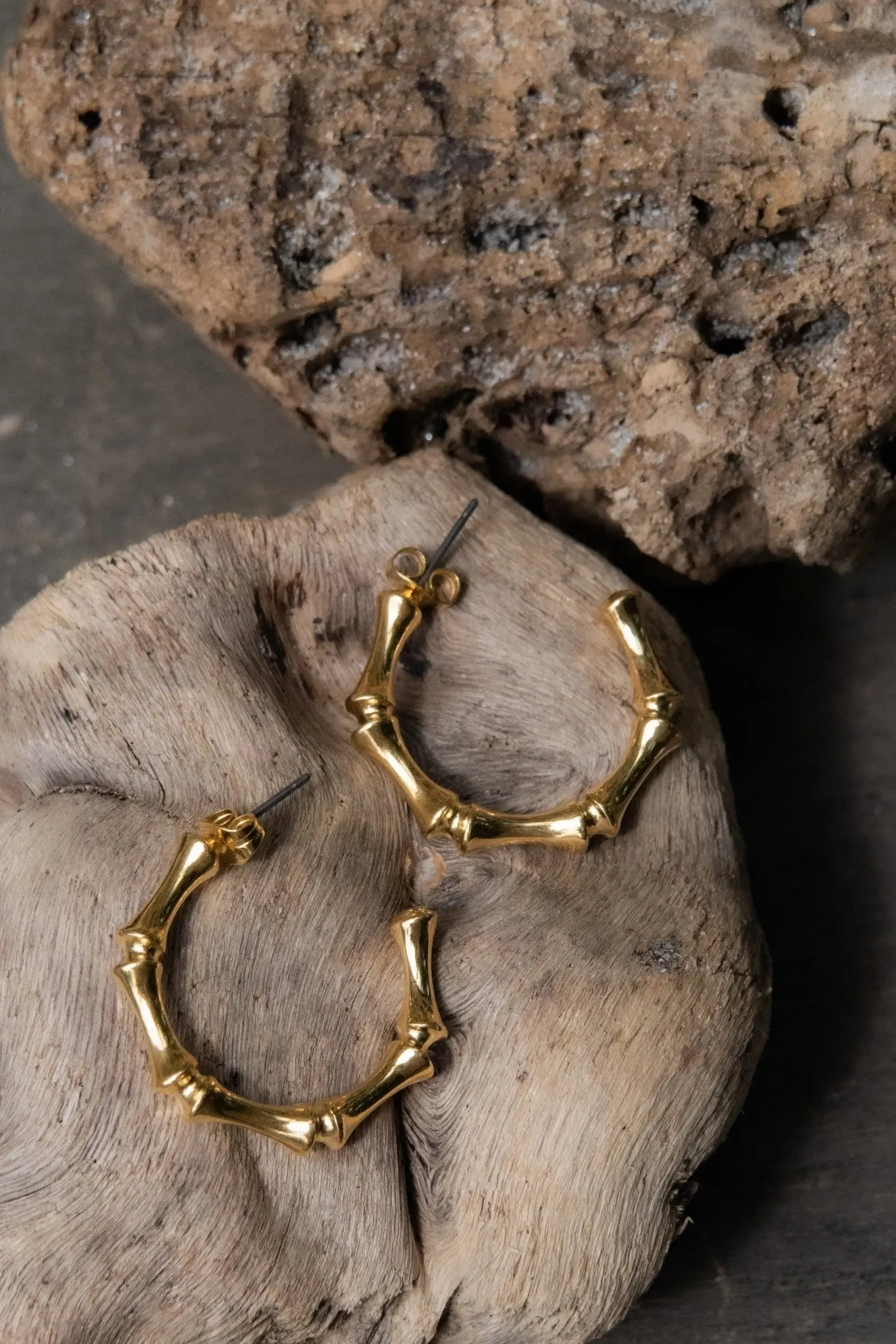 Gold hoop earrings