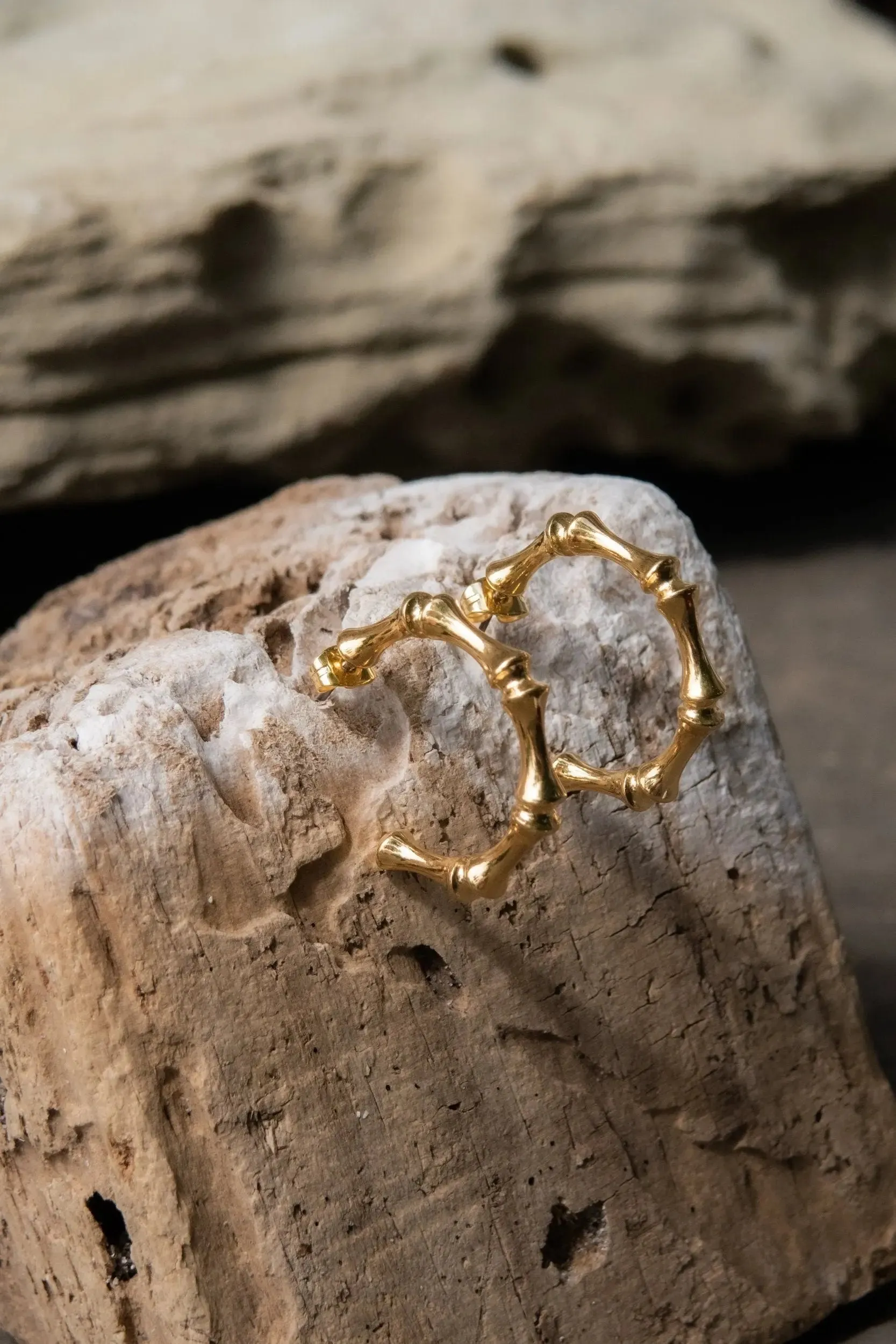 Gold hoop earrings