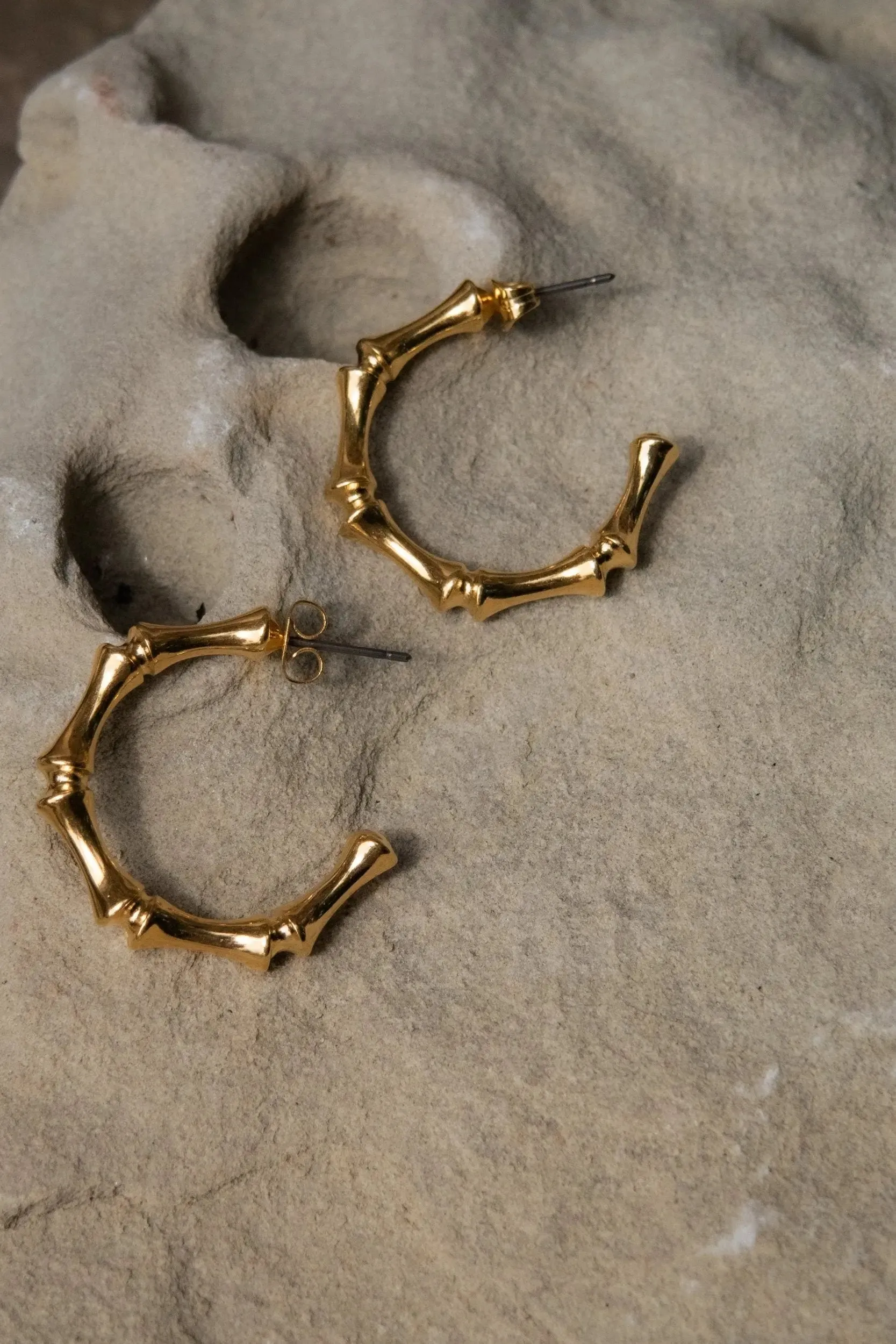 Gold hoop earrings