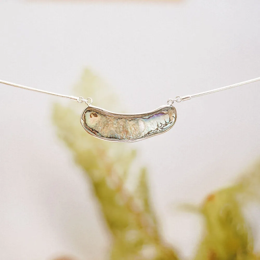 Kawa Paua Sterling Silver Necklace