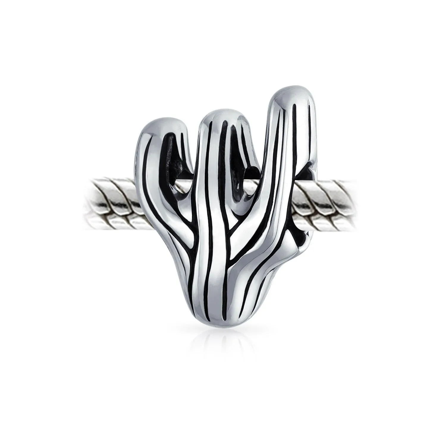 Southwestern Sonoran Desert Cactus Charm Bead in Oxidized Sterling Silver